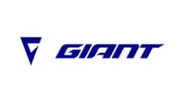 Reprise Boostée <b>Giant</b>